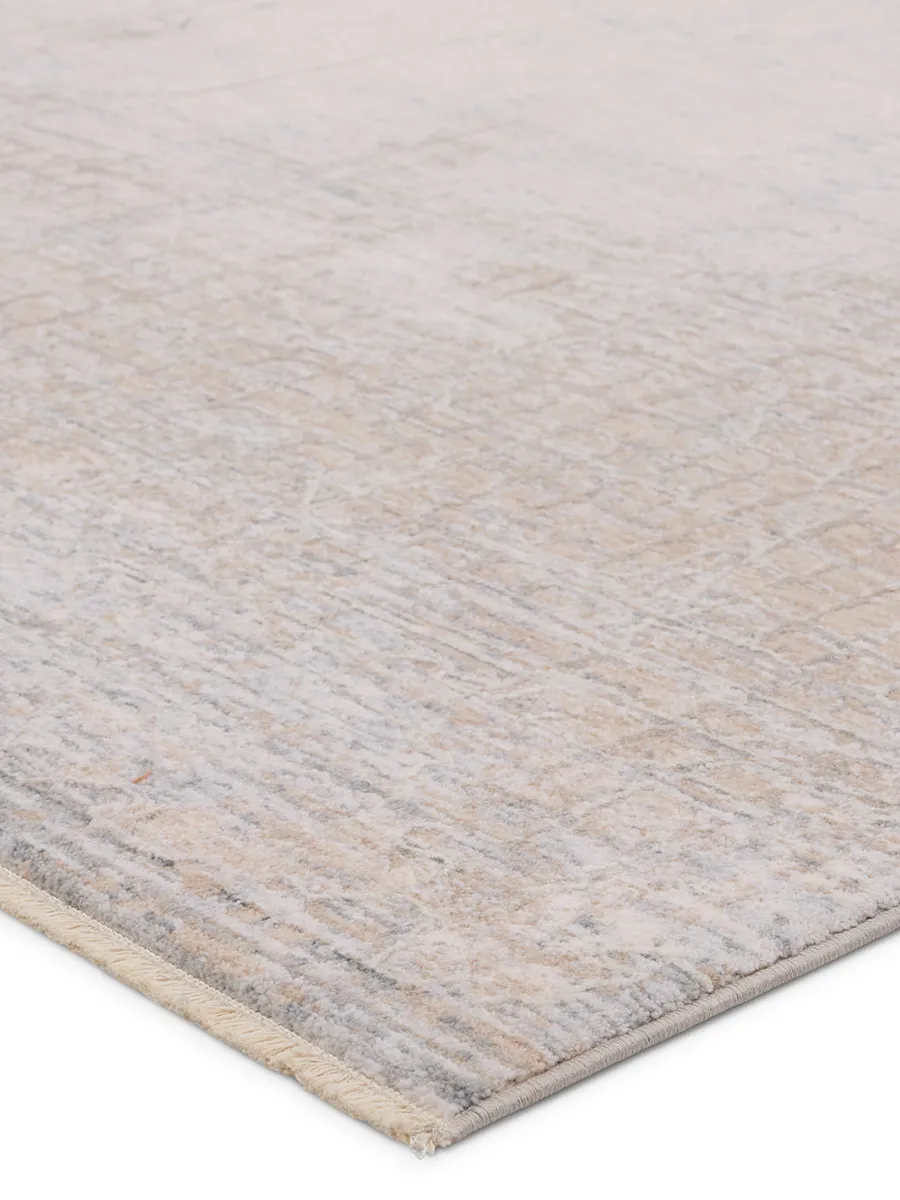 Aries Palermo Tan/Taupe 3' x 10' Runner Rug