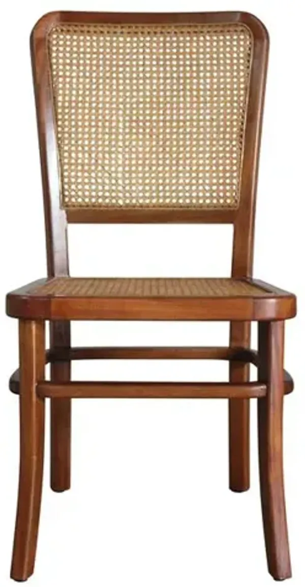 Carolina Living Grove Dining Chair - Set of 2 - Caramel - Natural