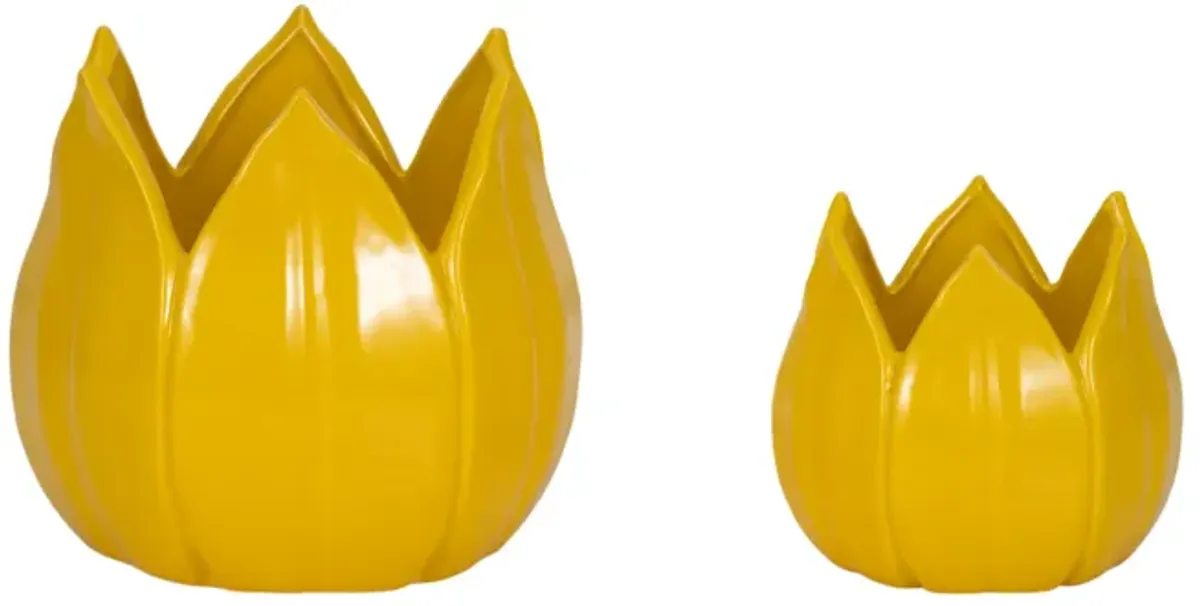 S/2 Yellow Petal Stone Plntrs