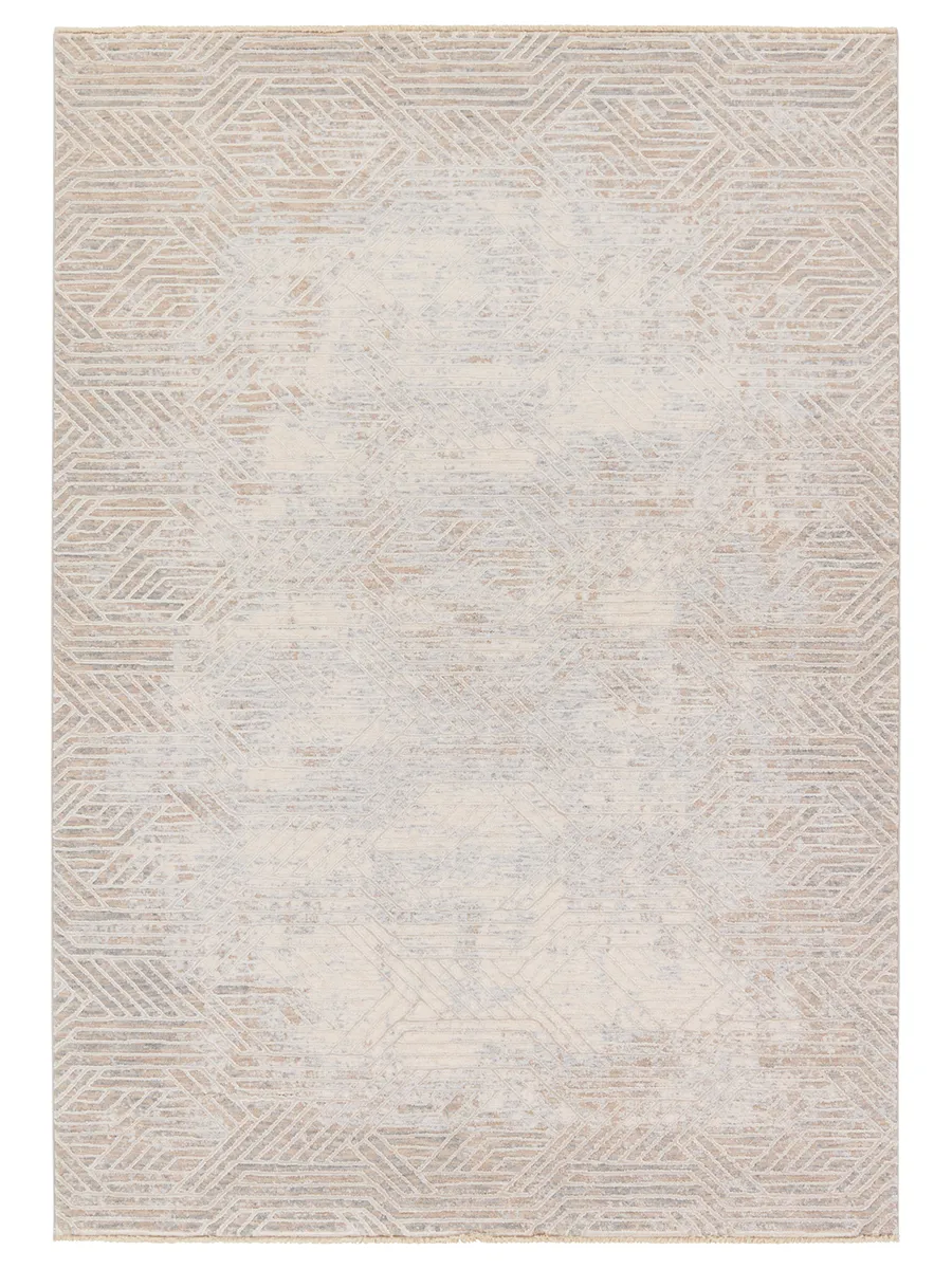 Aries Olympian Tan/Taupe 3' x 10' Runner Rug