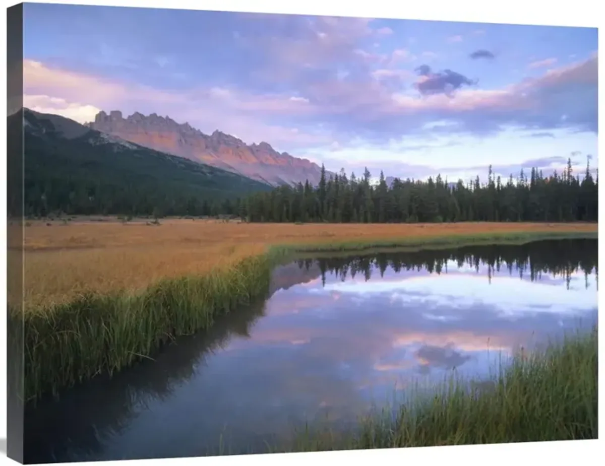 Dolomite Peak and Bow River backwaters, Banff National Park, Alberta-Canvas Art-32x24