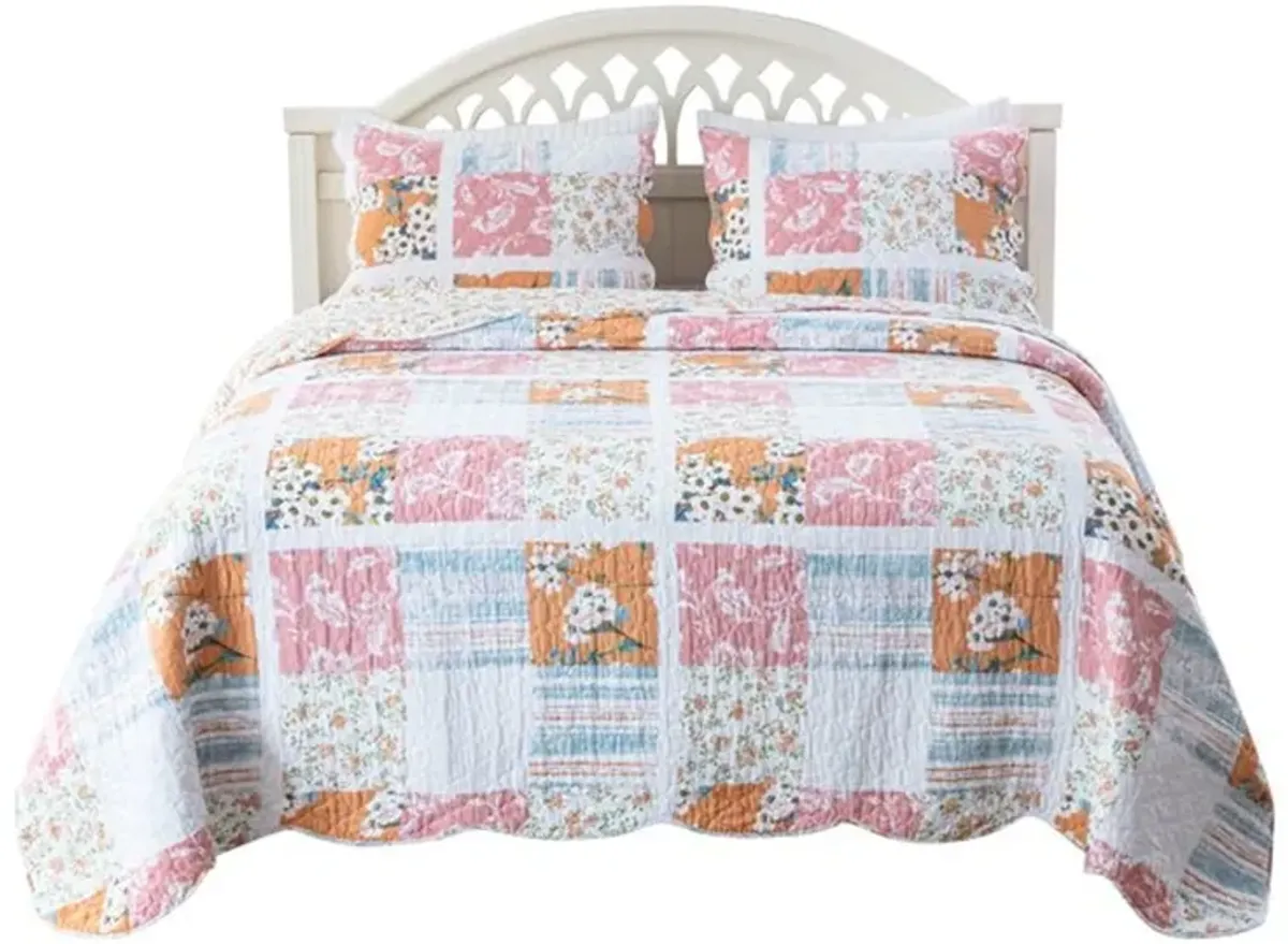 Vanie 3pc King Quilt Set, Pillow Shams, Scalloped, Blue White Pink Cotton