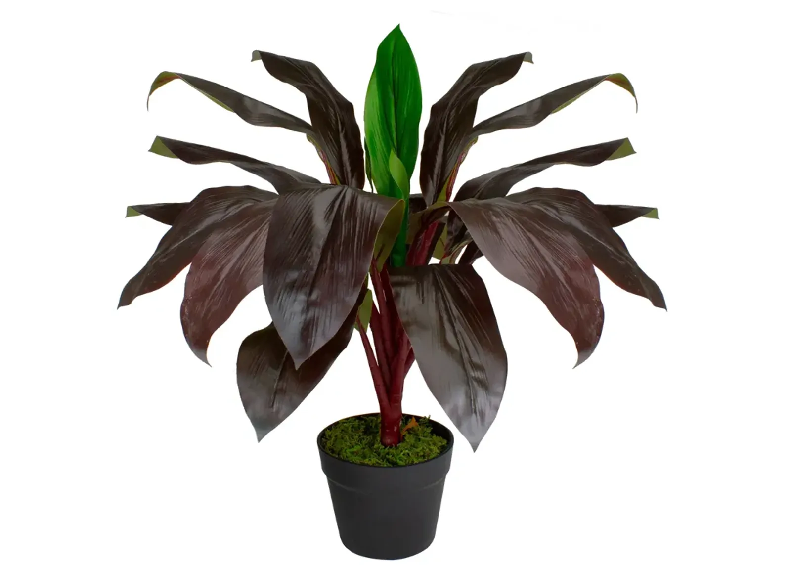 23" Red and Green Artificial Dracaena Potted Plant Home Decor