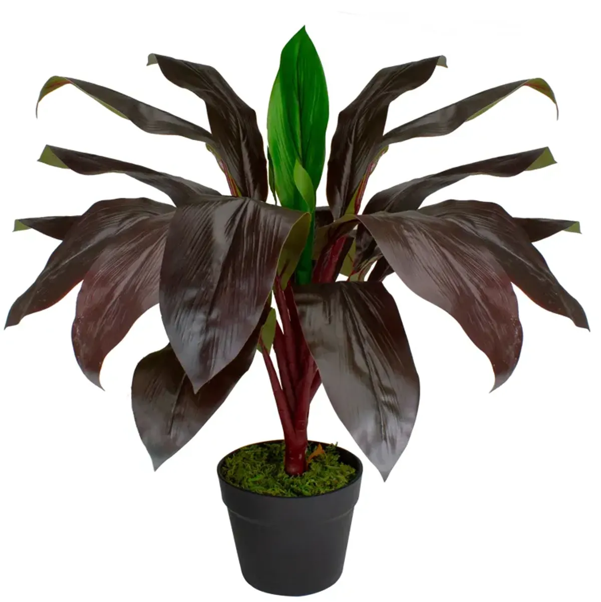 23" Red and Green Artificial Dracaena Potted Plant Home Decor