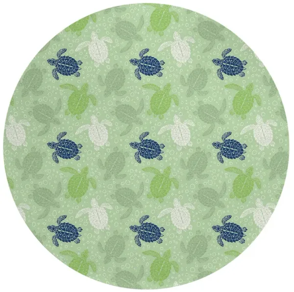 Seabreeze SZ13 Aloe 8' Rug