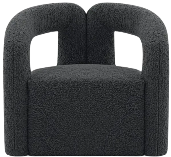Darian Black Accent Chairs (Set of 2)