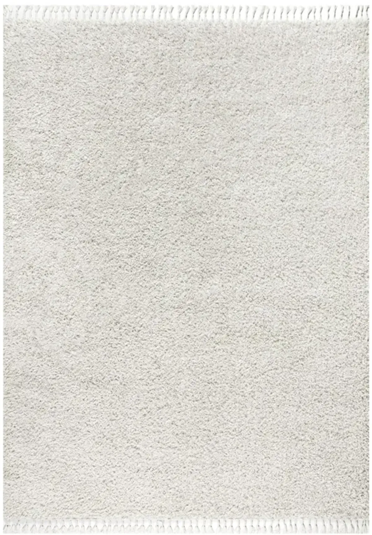 Mercer Shag Plush Tassel Area Rug