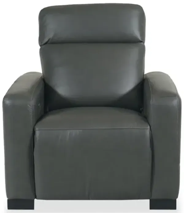 Acadia Shitake Power Recliner