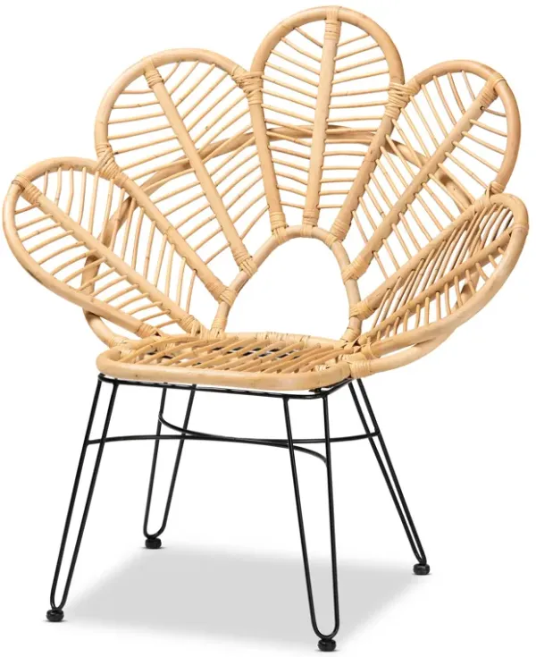 Baxton Studio Garan Modern Bohemian Natural Brown Rattan and Black Metal Accent Chair