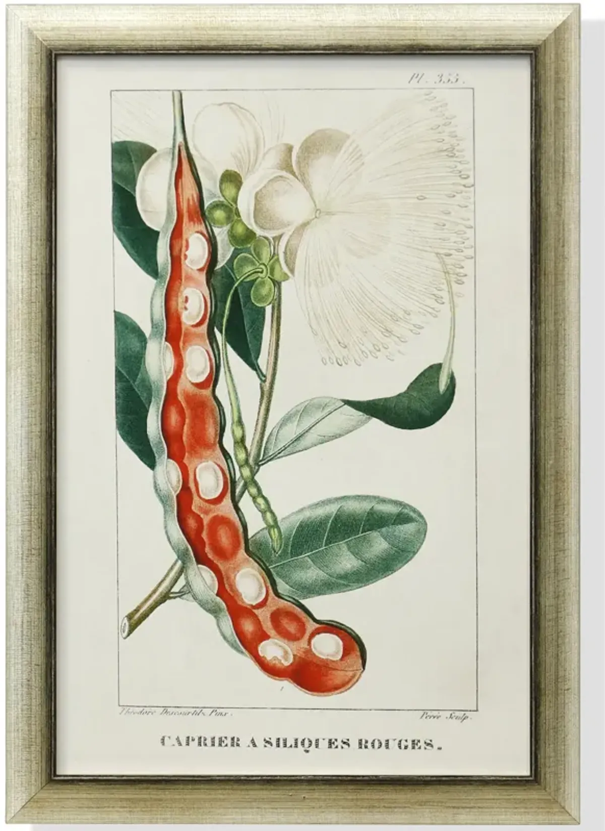 Framed Print Under Glass