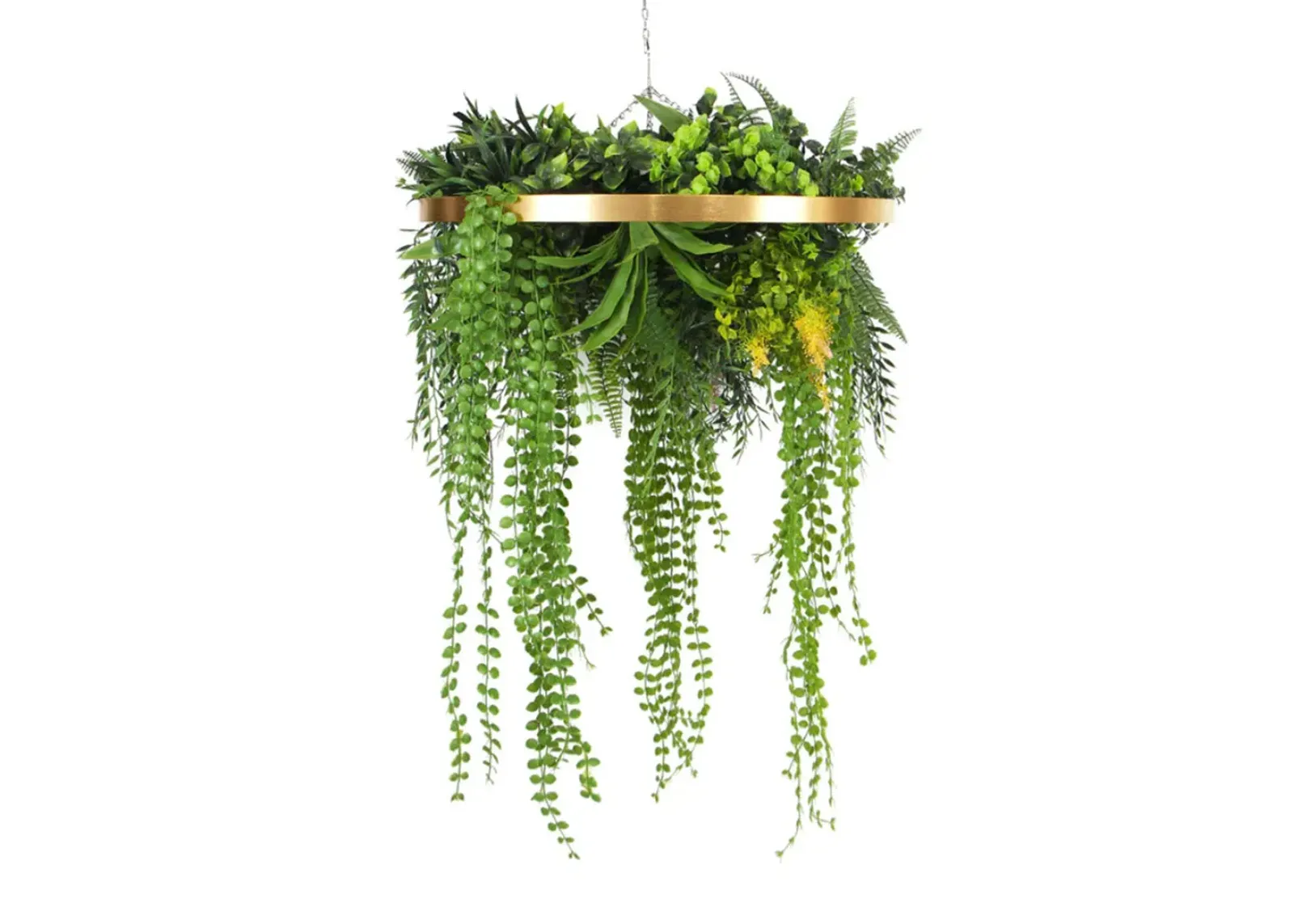 Imitation Premium Gold Artificial Hanging Green Wall Disc 15" (Limited Edition)