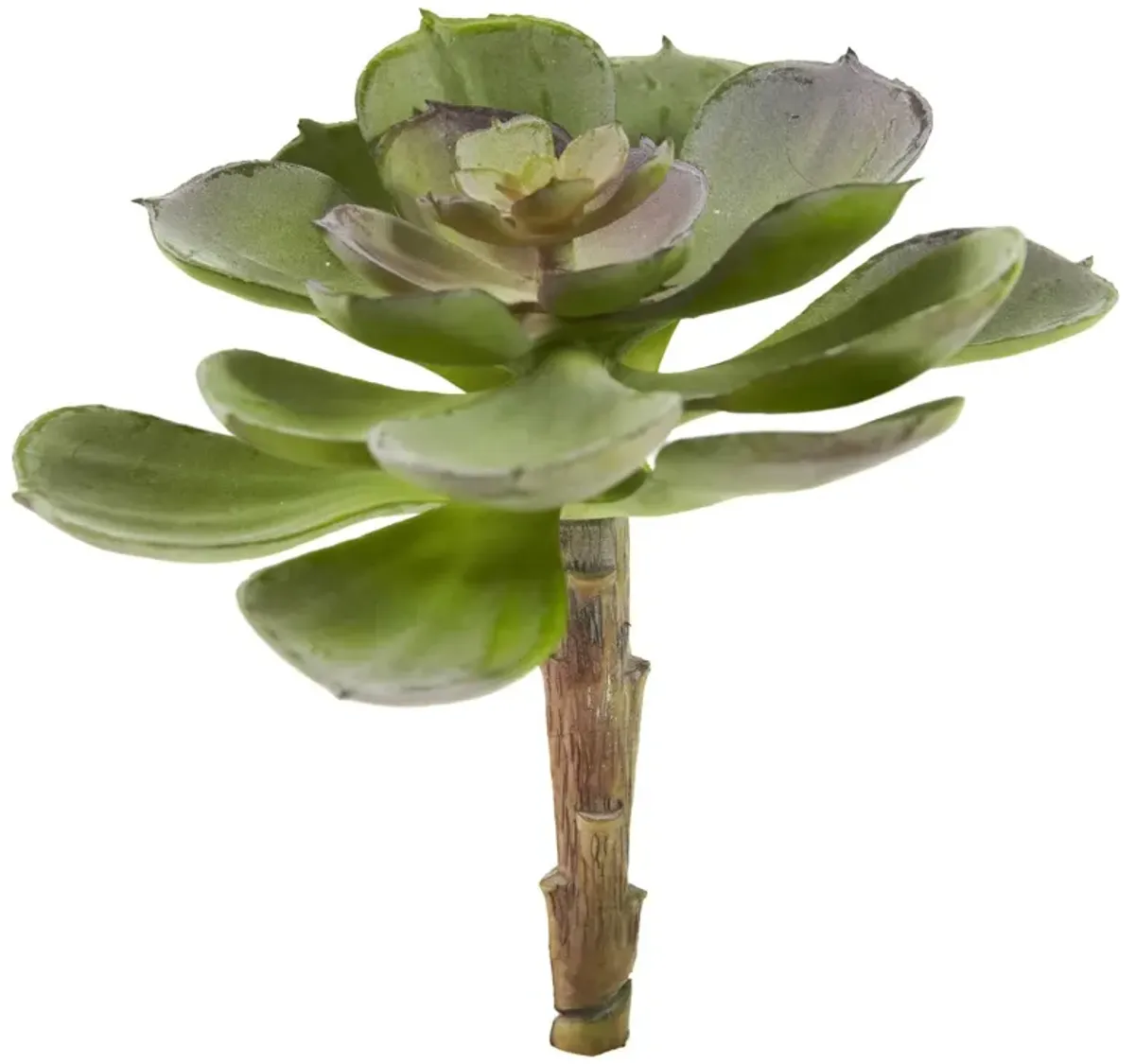 Nearly Natural 5-in Echeveria w/24 Lvs (Set of 12) - Burgundy