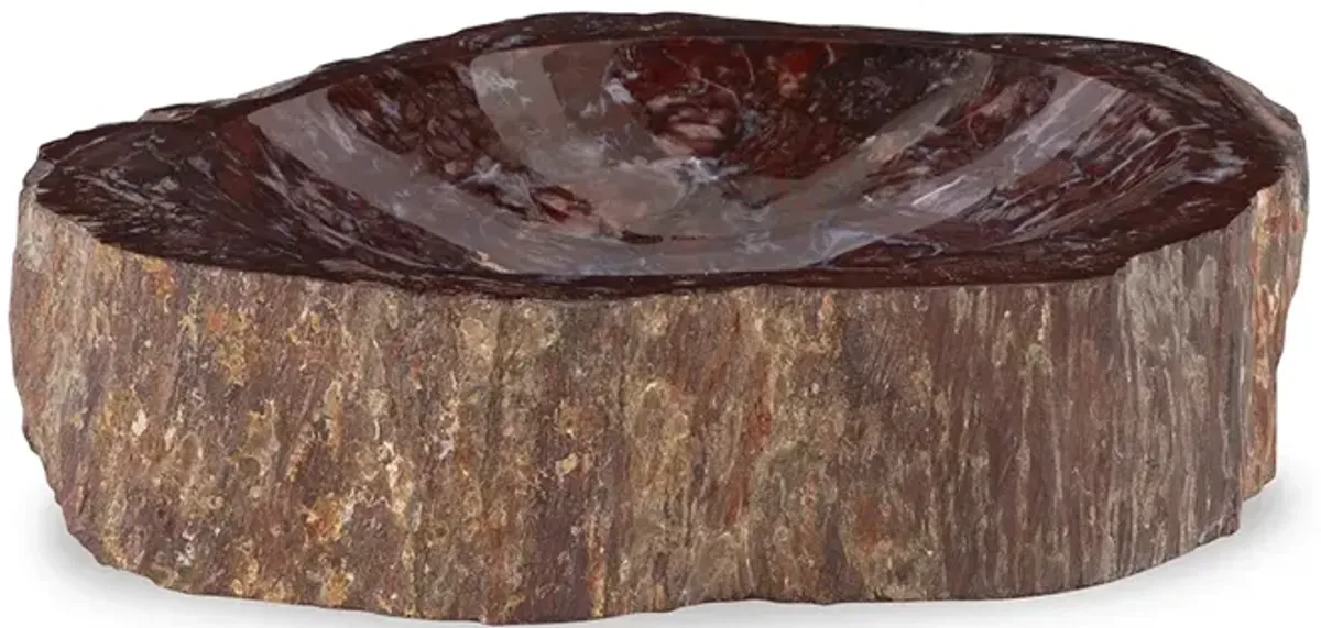 Red Petrified Bowl