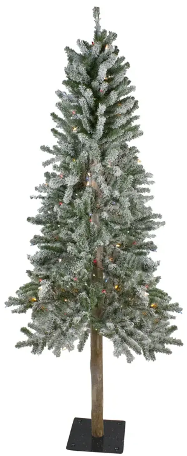 6' Pre-Lit Flocked Alpine Artificial Christmas Tree - Multi Lights