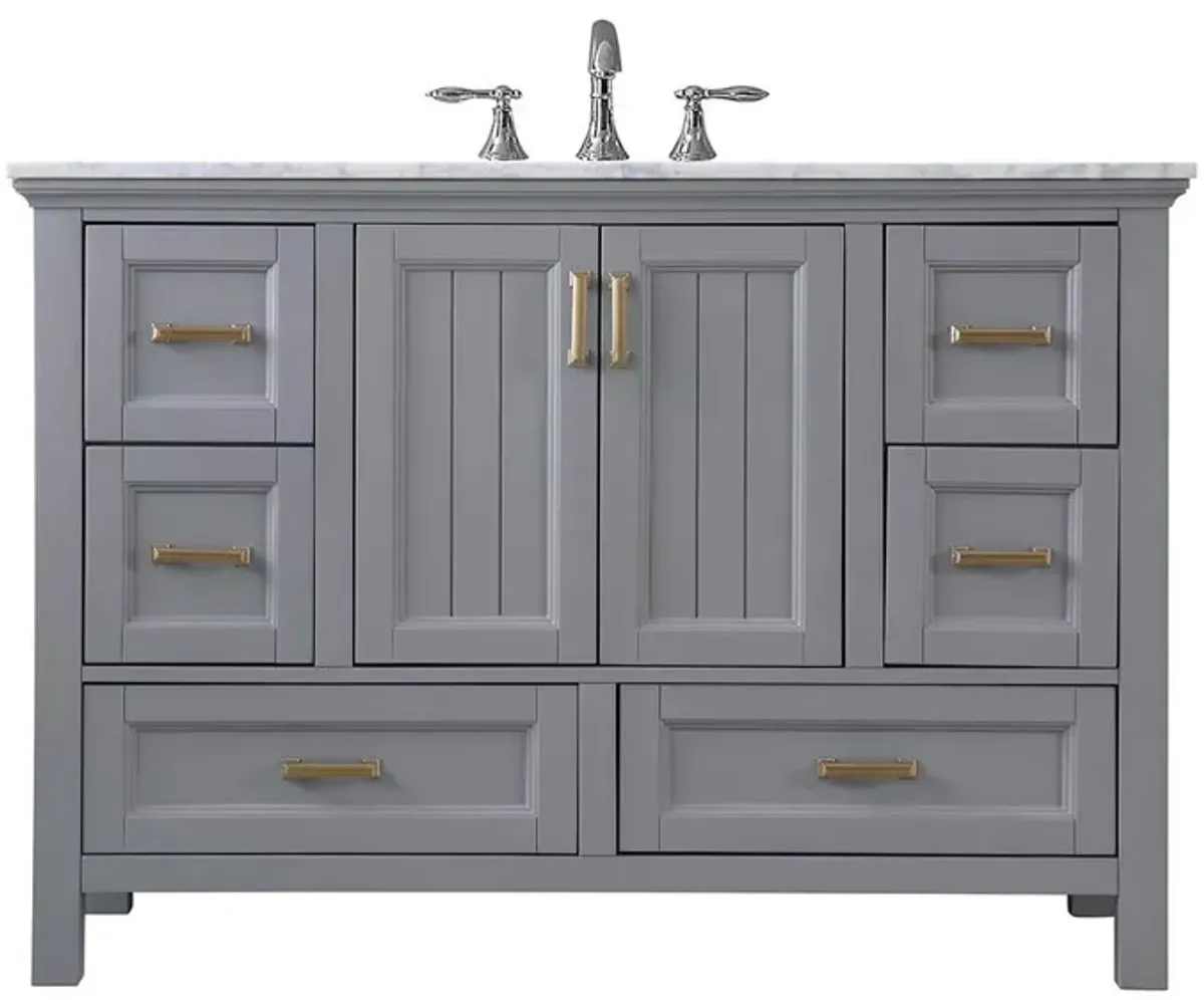 Altair 48 Single Bathroom Vanity Set in Gray without Mirror