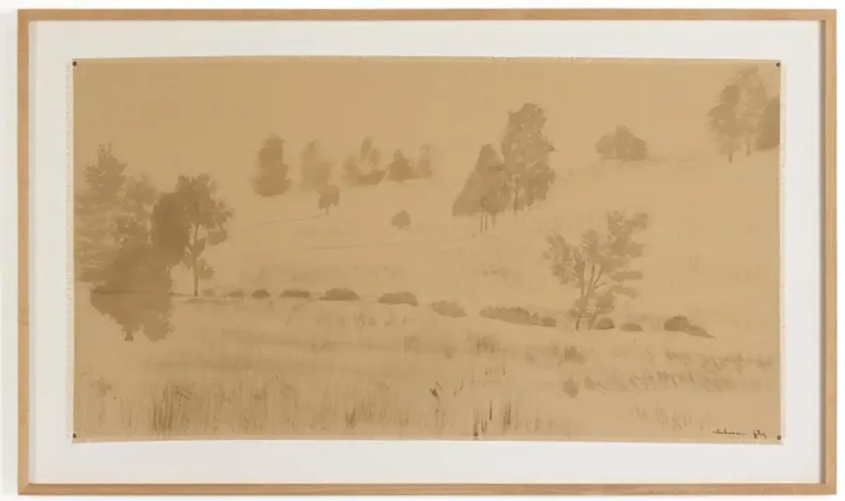 The Hills By Chelsea Fly