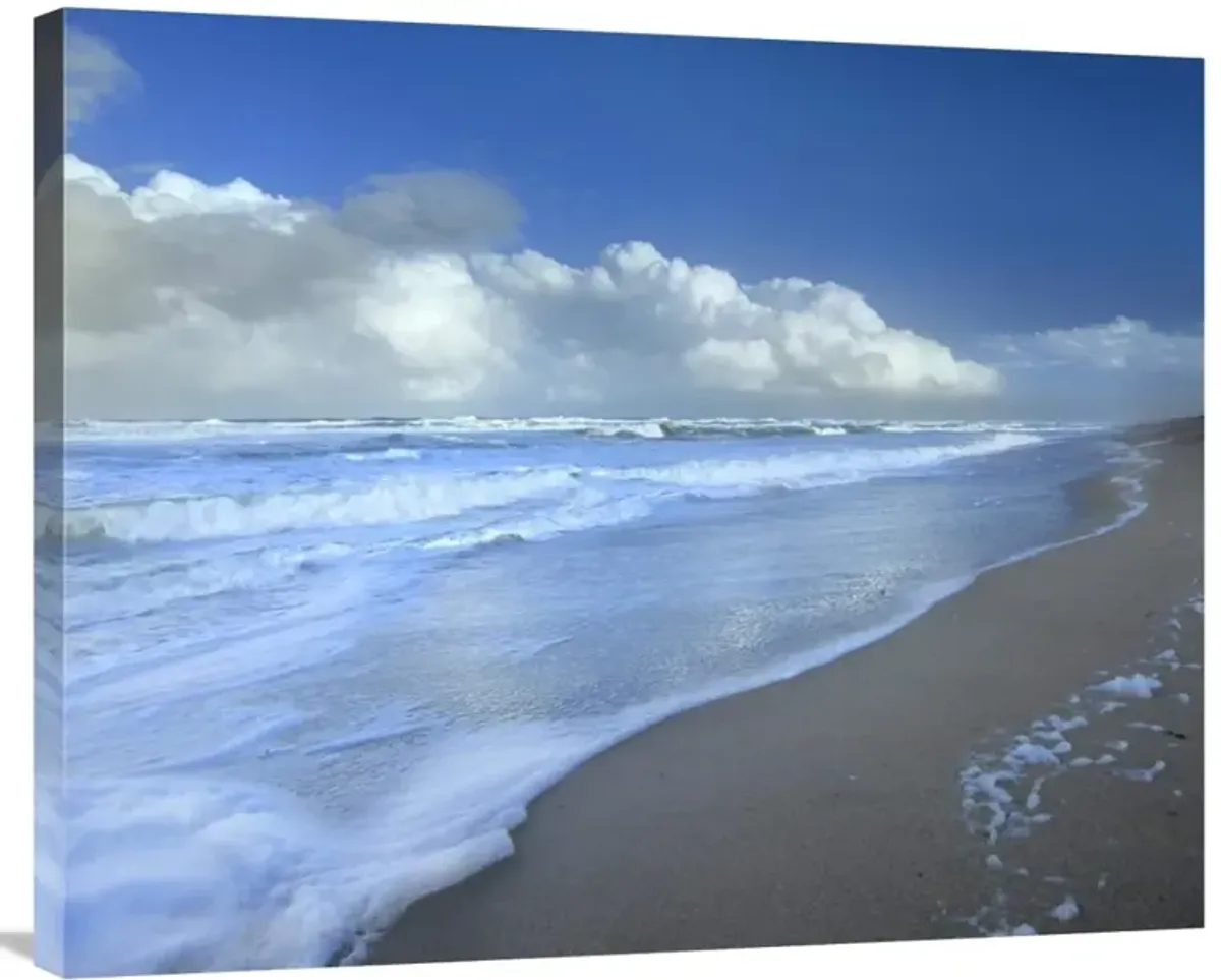 Storm cloud over beach, Canaveral National Seashore, Florida-Canvas Art-35x28