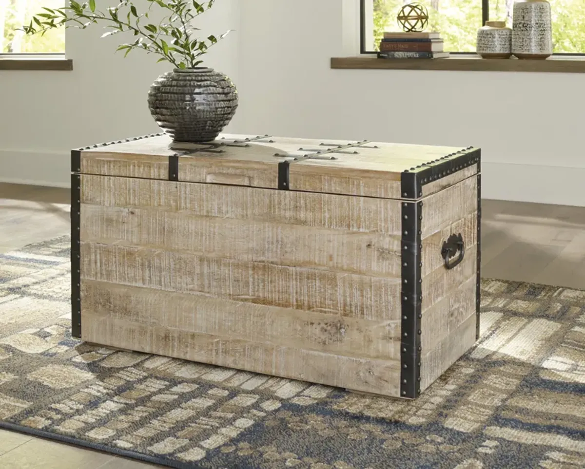 Dartland Whitewash Storage Trunk