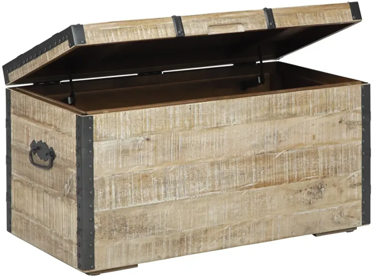 Dartland Whitewash Storage Trunk