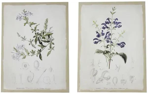 24 x 32 Set of 2 Framed Wall Art Prints, Floral, Modern White and Black - Benzara