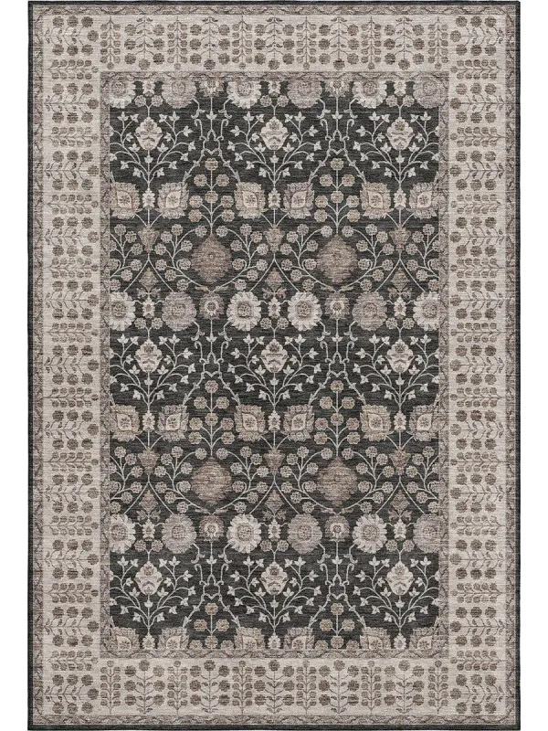 Hatay HY8 Black 30" x 46" Rug