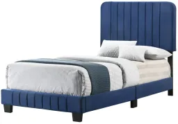 Navy Blue color