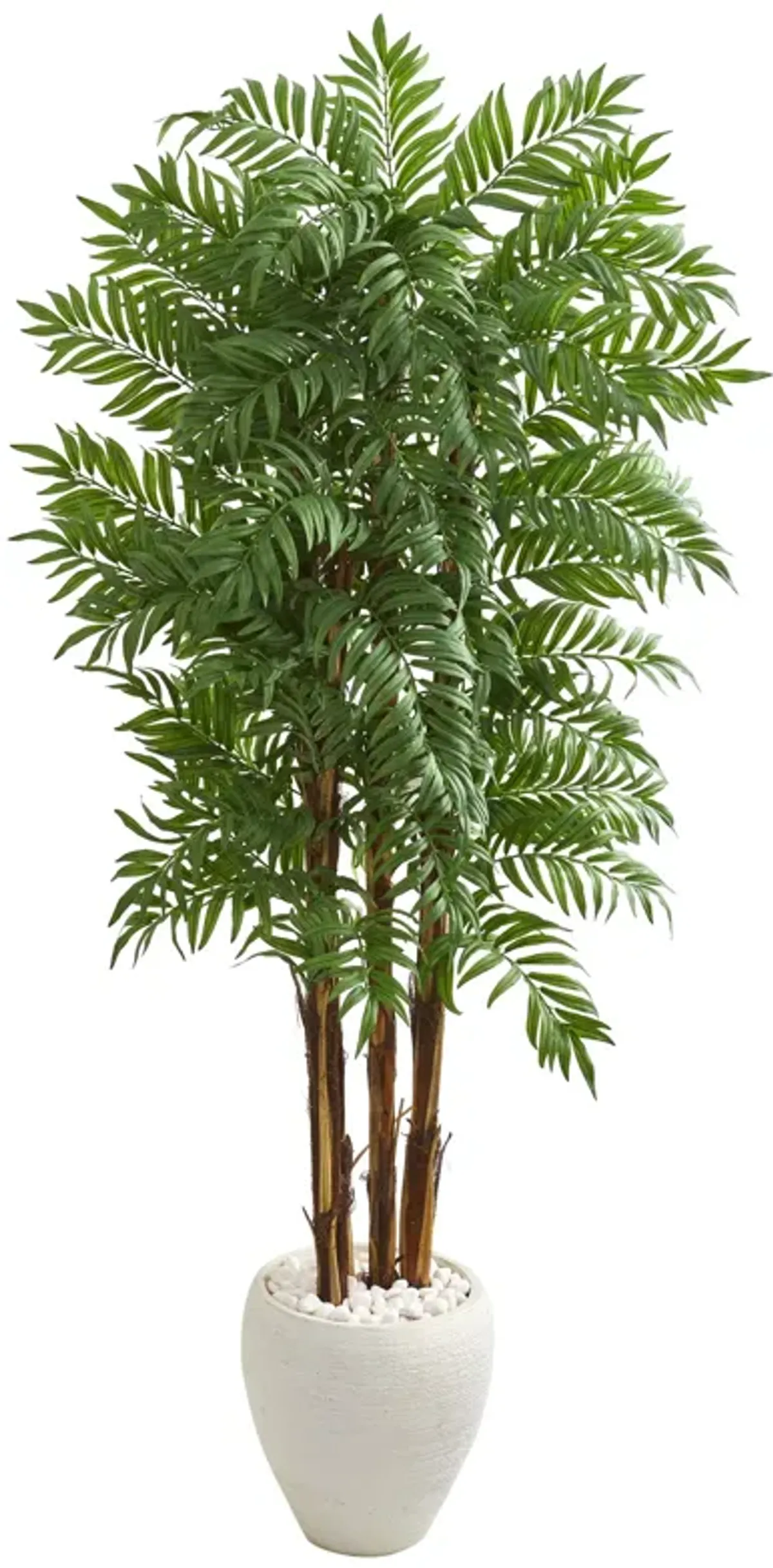 HomPlanti 6 Feet Parlour Artificial Palm Tree in White Planter