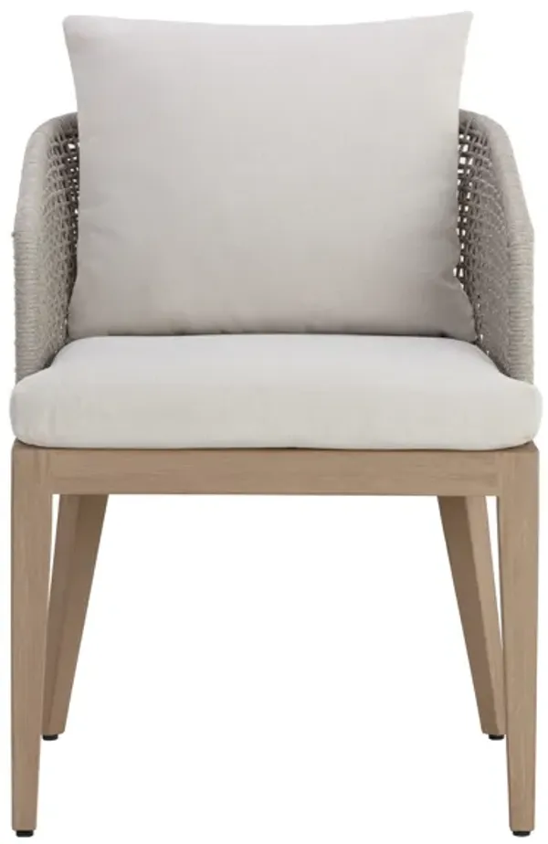 Capri Dining Armchair
