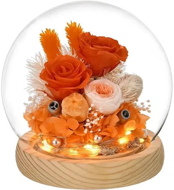 Orange Rose in Glass Dome with LED Light,Gifts for Women