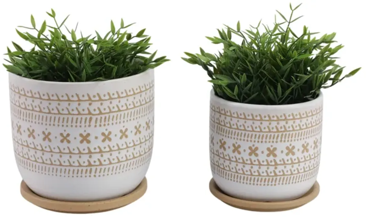 Brown Ceramic Saucer Planter Set