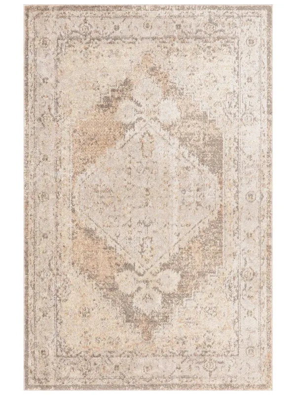 Astra Machine Washable ASW11 Beige 3'3" x 5' Rug