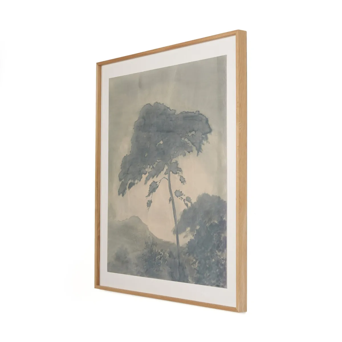 Canopy By Chelsea Fly