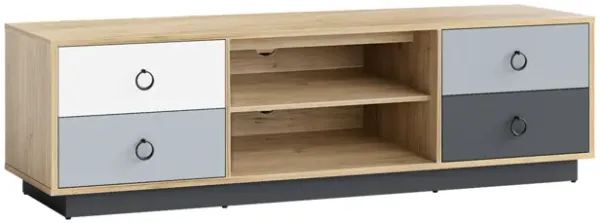 Modern 55 Inch TV Stand with 2 Storage Cabinets for TVs up to 60 Inch