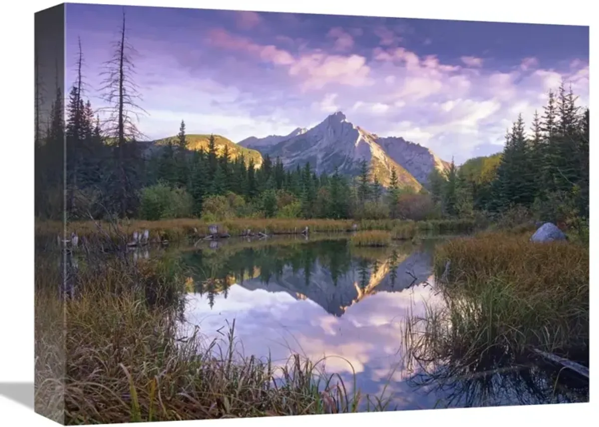 Mount Lorette and spruce trees reflected in lake, Alberta, Canada-Canvas Art-16x12