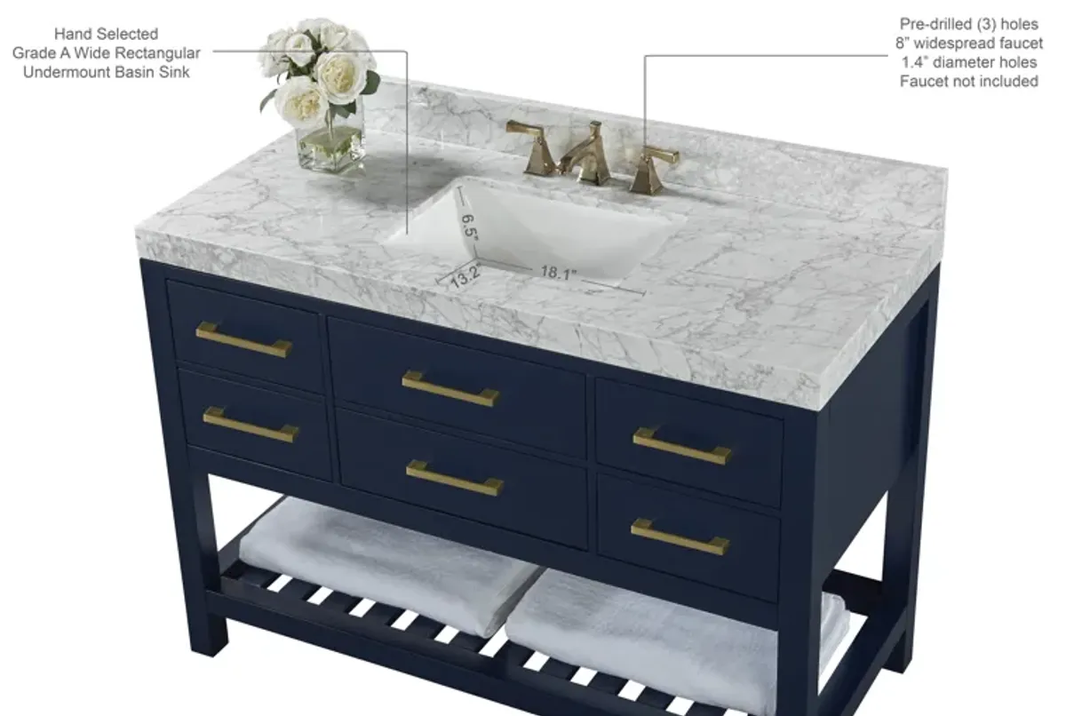 Elizabeth 48 in. Bath Vanity Set