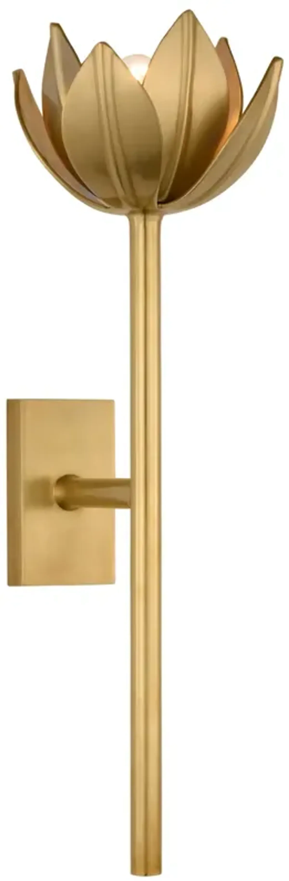 Alberto Medium Sconce