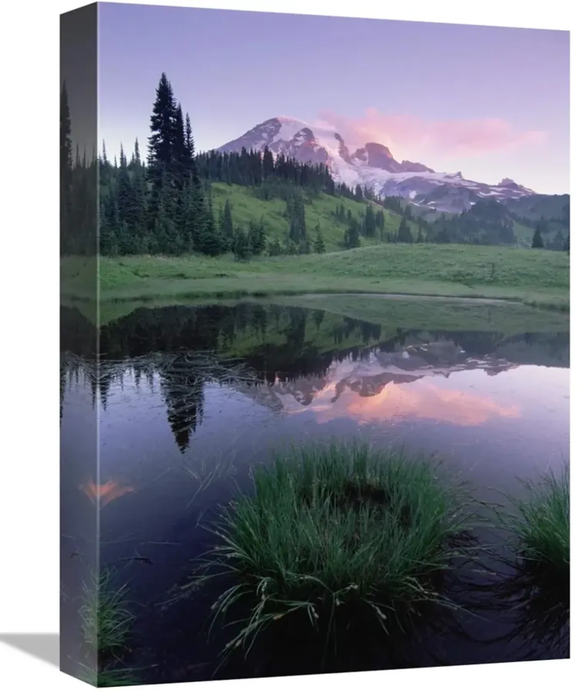 Mt Rainier reflected in lake, Mt Rainier National Park, Washington-Canvas Art-12x16