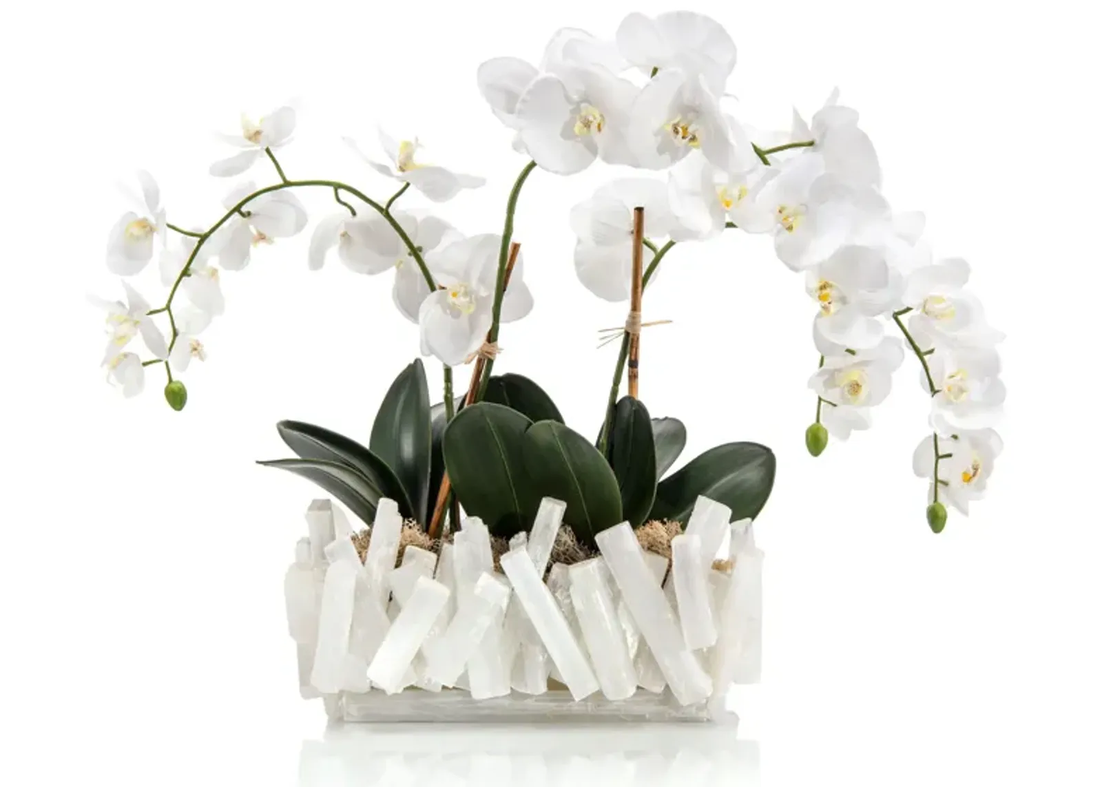 Selenite Orchids