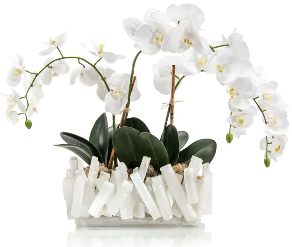 Selenite Orchids