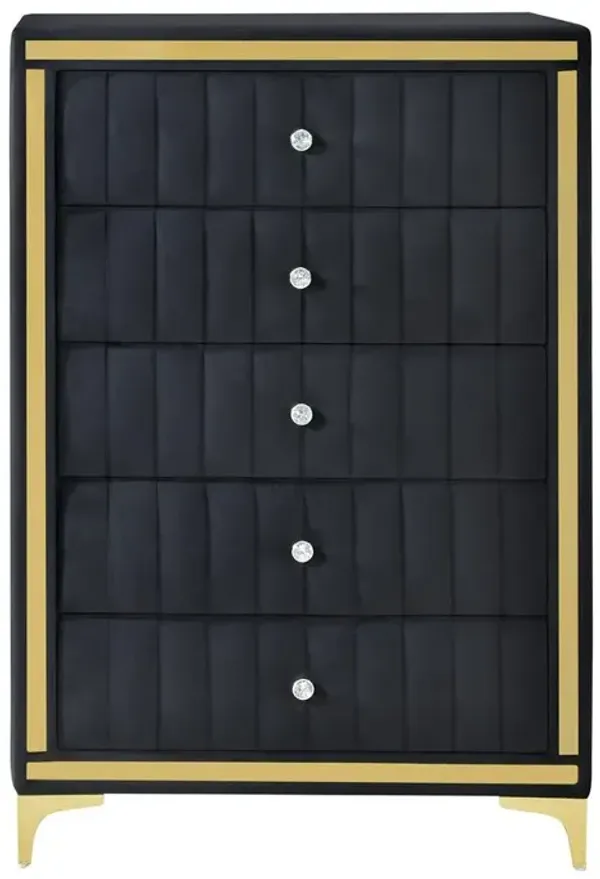 Upholstered 5-Drawer Chest Dresser with Gold Legs and Gold Trim