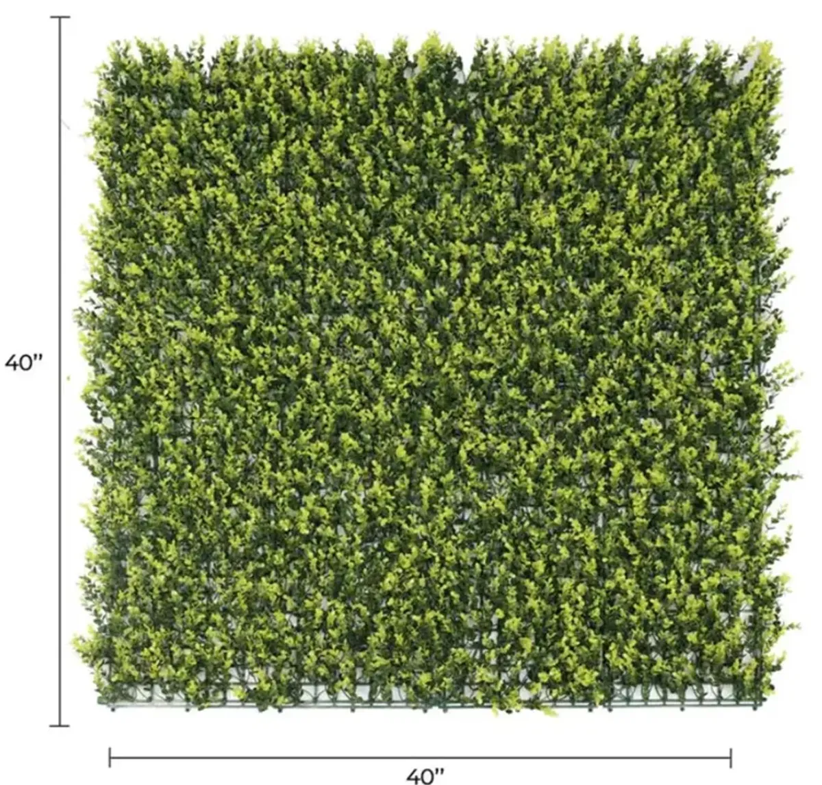 Yellow English Artificial Boxwood Wall 40" x 40" 11SQ FT Commercial Grade UV Resistant