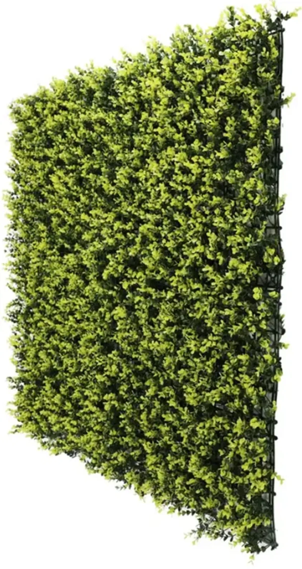 Yellow English Artificial Boxwood Wall 40" x 40" 11SQ FT Commercial Grade UV Resistant