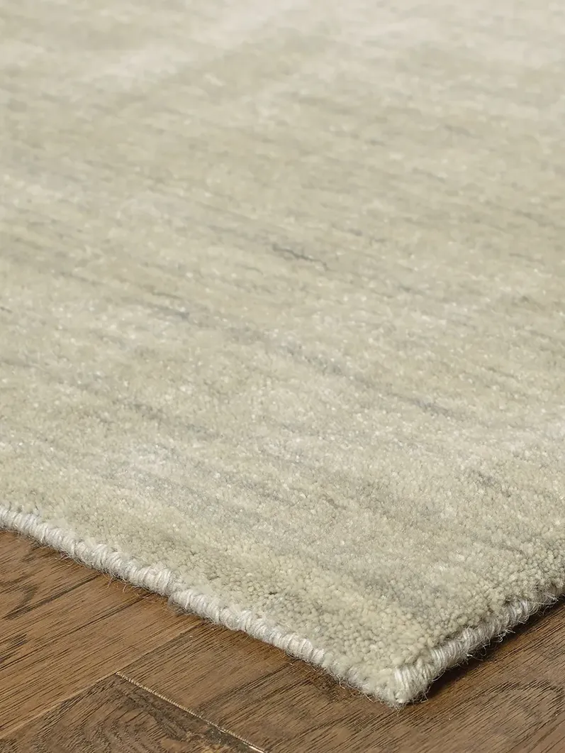 Aniston 10' x 13' Beige Rug