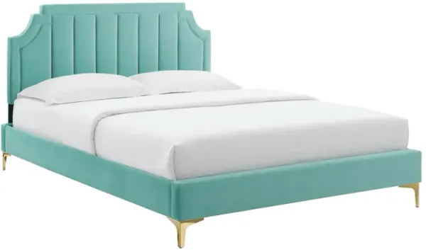 Modway - Sienna Performance Velvet Queen Platform Bed