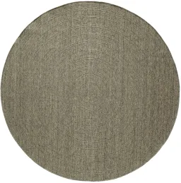 Olive color