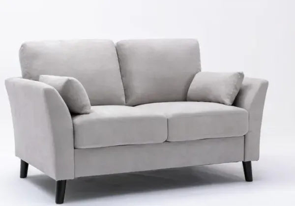 Damian Light Gray Velvet Fabric Loveseat