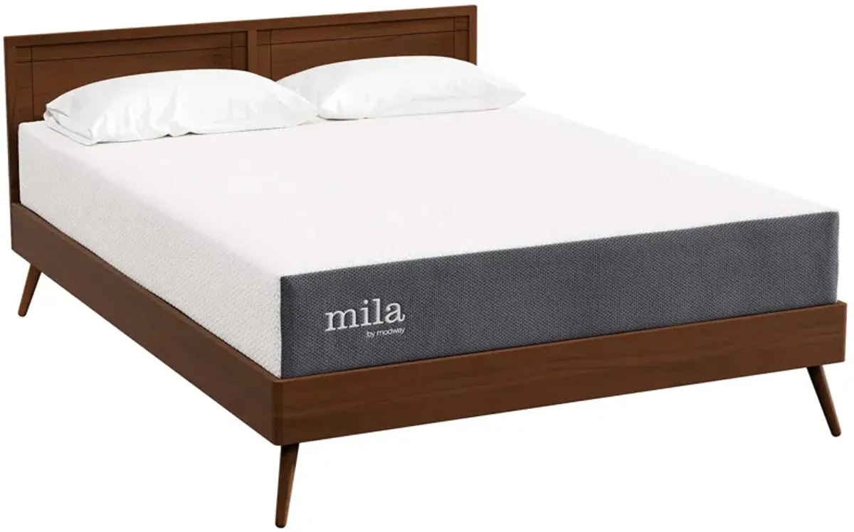 Mila 10" Queen Mattress