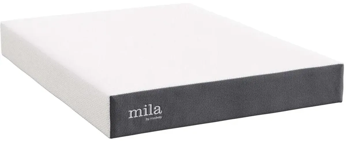 Mila 10" Queen Mattress