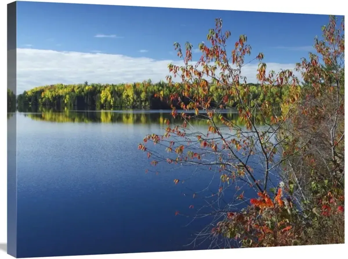 Tobique River, New Brunswick, Canada-Canvas Art-32x24