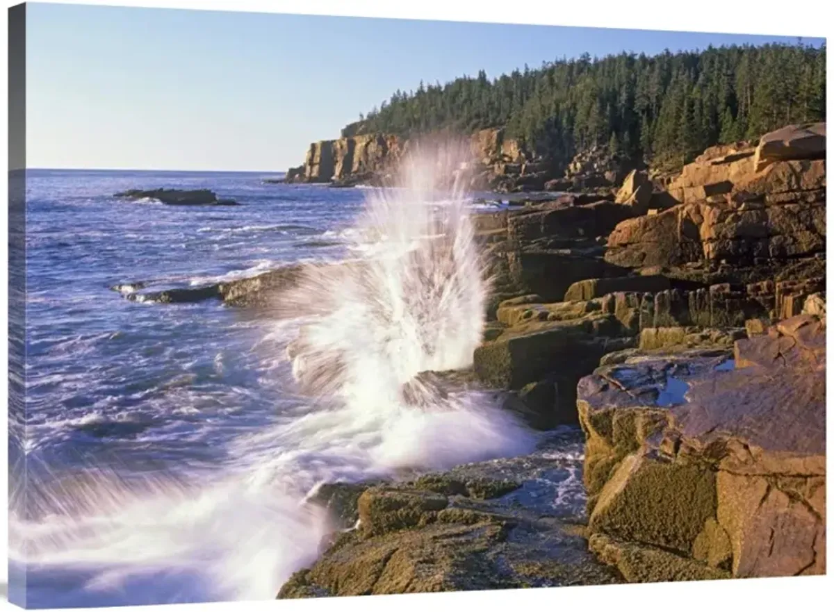Atlantic Coast near Thunder Hole, Acadia National Park, Maine-Canvas Art-40x30